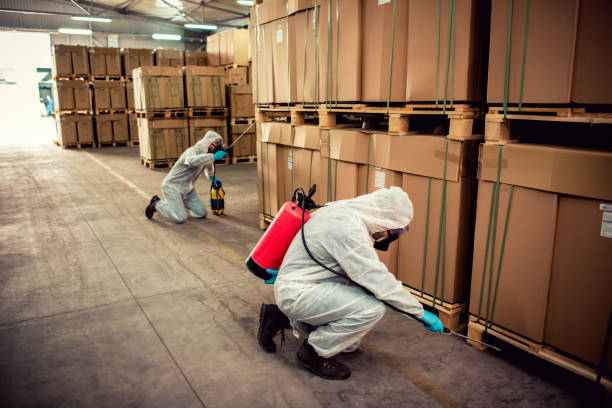Flea Control Services in East Ithaca, NY