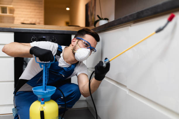 Best Flea Control Services  in East Ithaca, NY