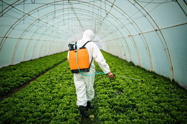 Best Affordable Pest Control Services  in East Ithaca, NY