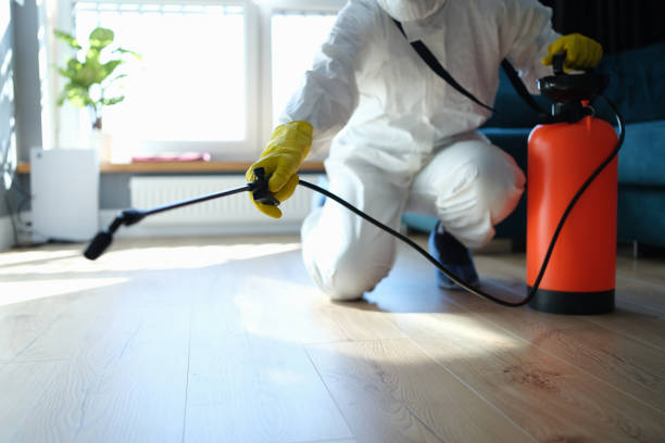 Professional Pest Control in East Ithaca, NY