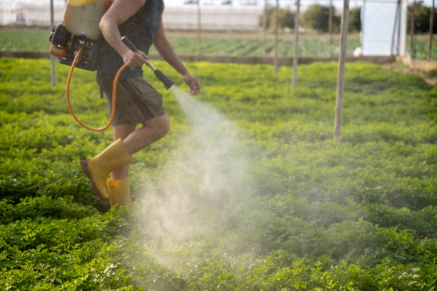 Best Commercial Pest Control Services  in East Ithaca, NY