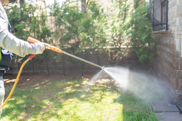 Best Pest Control Treatment  in East Ithaca, NY