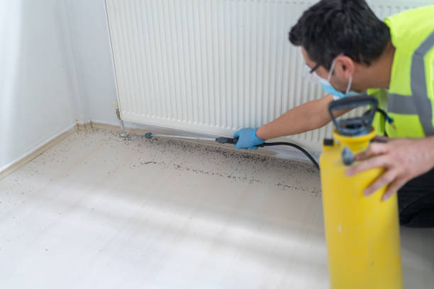 Best Pest Inspection Near Me  in East Ithaca, NY