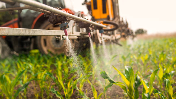 Best Mosquito Control Services  in East Ithaca, NY